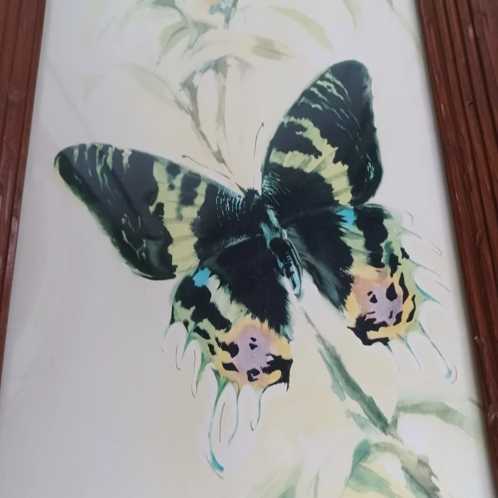 Vintage butterfly watercolor print 18.5x10.5 inches B. Ballester Litho wood